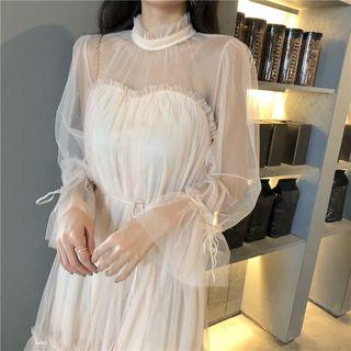 Long Sleeve Mesh Panel Sheer Dress