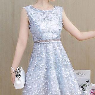 Sleeveless A-line Sheer Dress