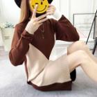 Long-sleeve Colored Panel Knit Dress