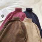 Plain Rib Knit Turtle-neck Long-sleeve Sweater