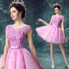 Applique Tulle Mini Prom Dress