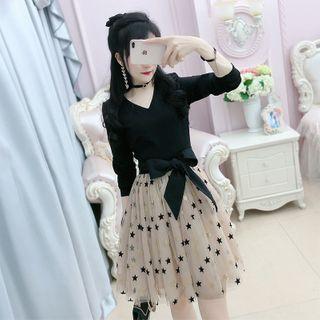 Long-sleeve Paneled Mini A-line Mesh Dress