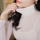 Turtle-neck Sheer Slim-fit Top