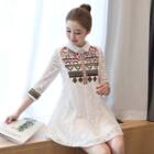Embroidered 3/4 Sleeve Collared Lace Dress