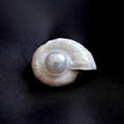 Shell Faux Pearl Alloy Brooch