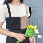 Color Block Mock Two-piece Short-sleeve Knit Top