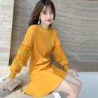 Lace Ruffle Mini A-line Sweatshirt Dress