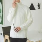 Plain Chunky Knit Turtleneck Sweater