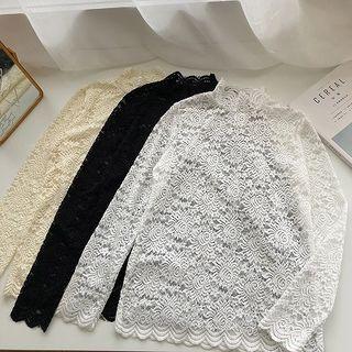 Plain Turtle-neck Eyelet Lace Long-sleeve Mesh Top