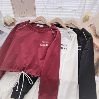 Long-sleeve Round Neck Lettering Embroidered Sweatshirt