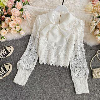 Bow Neck Sheer Lace Blouse