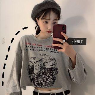 Long-sleeve Cropped Print T-shirt Gray - One Size