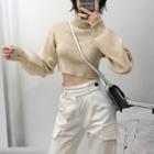 Turtleneck Crop Knit Top Khaki - One Size