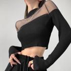 Mock-neck Plain Mesh Cropped Top