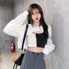 Long-sleeve Plain Cropped Top / Color Block Camisole Top