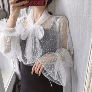 Long-sleeve Tie-neck Mesh Blouse