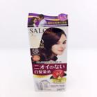 Dariya - Salon De Pro Grey Hair Coloring Liquid (#5b Deep Purple) 1 Set