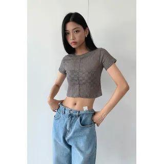 Sheer Checkered Cropped T-shirt