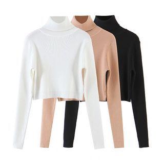 Long-sleeve Turtleneck Knit Crop Top