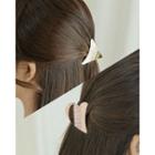Geo Metal Hair Claw (4 Types)
