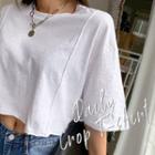 Seam-trim Loose-fit Crop T-shirt