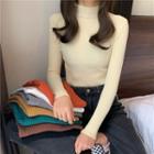 High-neck Skinny Ribbed Knit Top