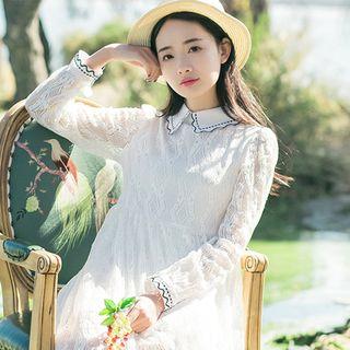 Collared Long Sleeve Lace Dress