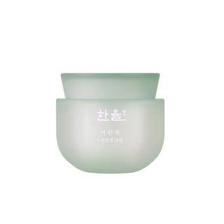 Hanyul - Pure Artemisia Watery Calming Cream 50ml 50ml