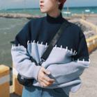 Two-tone Mock Turtleneck Sweater