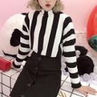 Two-tone Turtle-neck Sweater