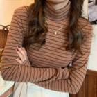 Long-sleeve Turtleneck Striped Slim-fit Top