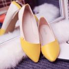 Color Panel Pointed Flats
