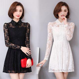 Lace Panel Long-sleeve Collared Dress