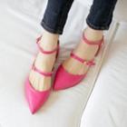 Pointy-toe Buckled Flats