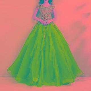 Short-sleeve Embroidered Ball Gown