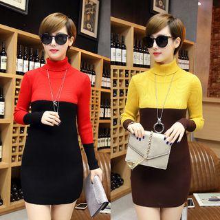 Turtle Neck Color Block Long Sleeve Mini Dress
