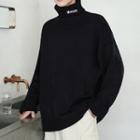 Turtle Neck Lettering Sweater