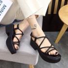 Platform Block Heel Strappy Sandals