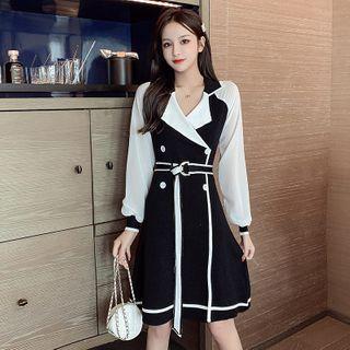 Two-tone Double-breasted Long-sleeve A-line Dress