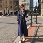 Lantern-sleeve Embroidered Midi A-line Dress