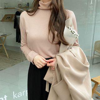 Plus Size Turtle-neck Top