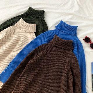 Plain Turtle-neck Rib Knit Long-sleeve Sweater