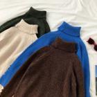 Plain Turtle-neck Rib Knit Long-sleeve Sweater