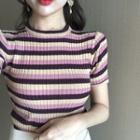 Short-sleeve Striped Knit Top Stripe - Multicolor - One Size