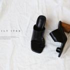 Toe-loop Wooden Block-heel Mules