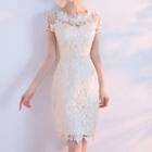 Crochet Short-sleeve Sheath Dress