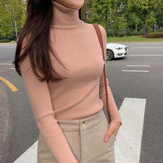 Turtleneck Pastel Rib-knit Top