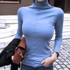 Long Slit Sleeve Turtleneck Top