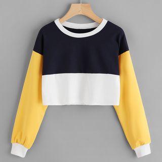 Color Block Cropped Top