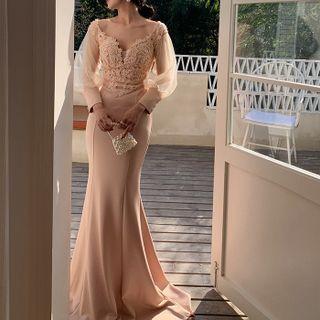 Long-sleeve Mesh Panel Sheath Evening Gown